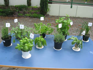 VSP2010-02