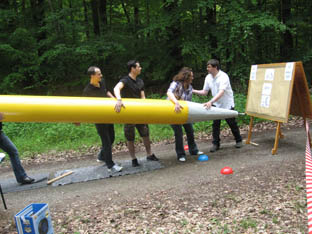VSP2010-03