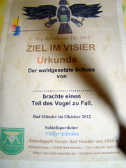 ZiV2012-002